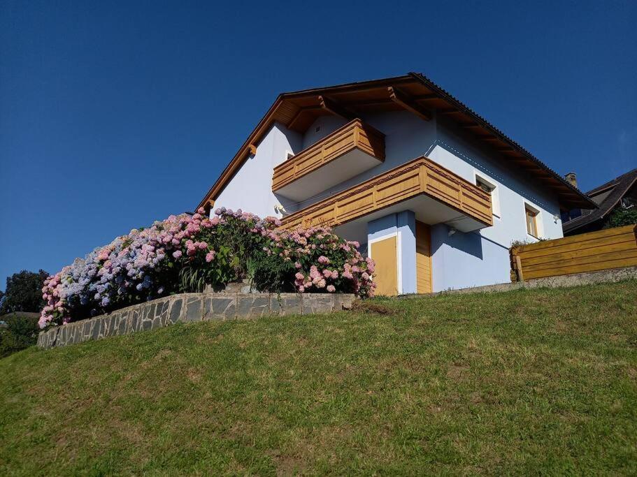 Haus Sonnenhang +Seeblick+Pool Reifnitz Kültér fotó