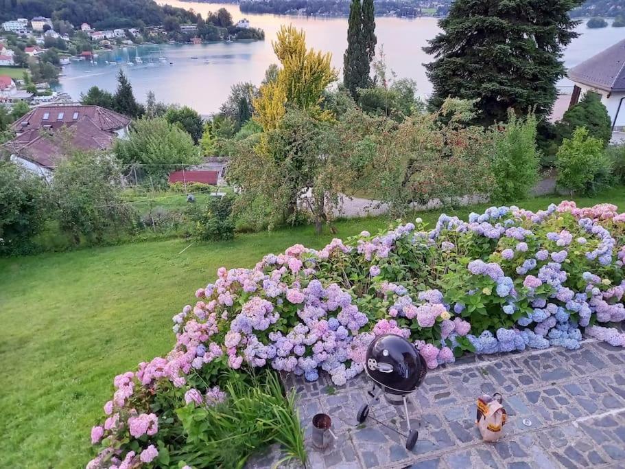 Haus Sonnenhang +Seeblick+Pool Reifnitz Kültér fotó
